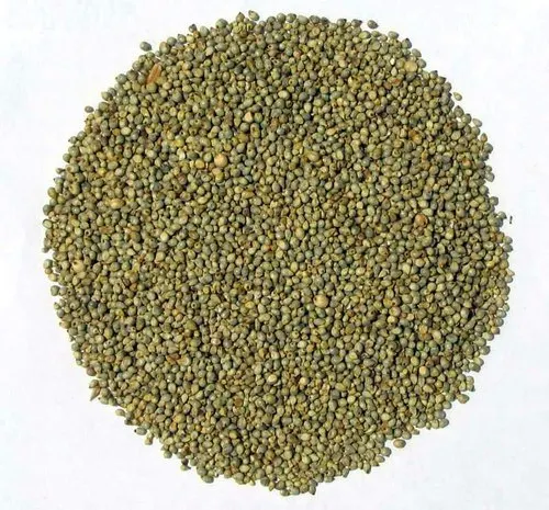 Country Pearl Millet | Naattu Kambu